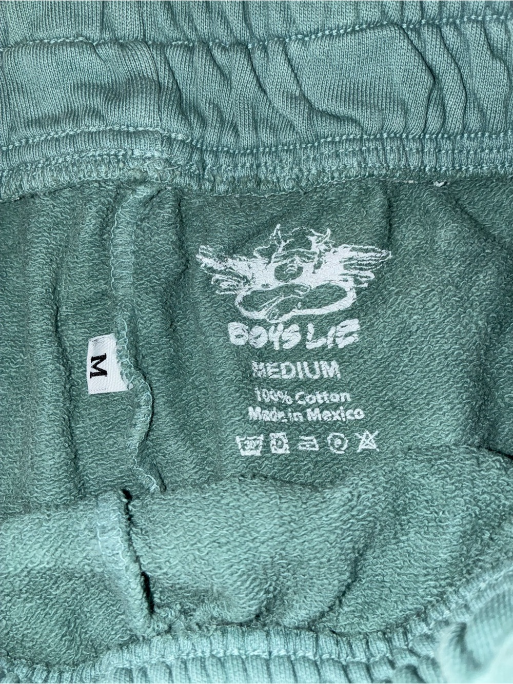 ๐ LAST1! NWOT Boys Lie Classic V2 Sweat Shorts | Lead - Picture 10 of 12